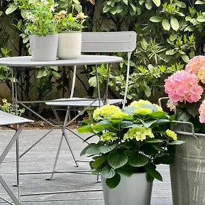 Bed & Breakfast Loft G Hospitality, Milano